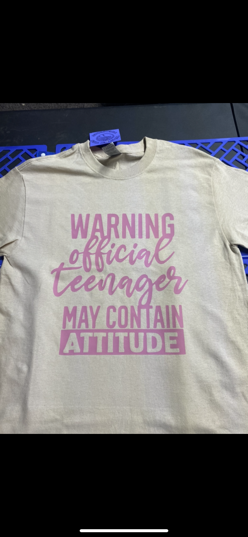Official teenager may contain attitude